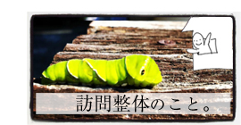 訪問整体のこと